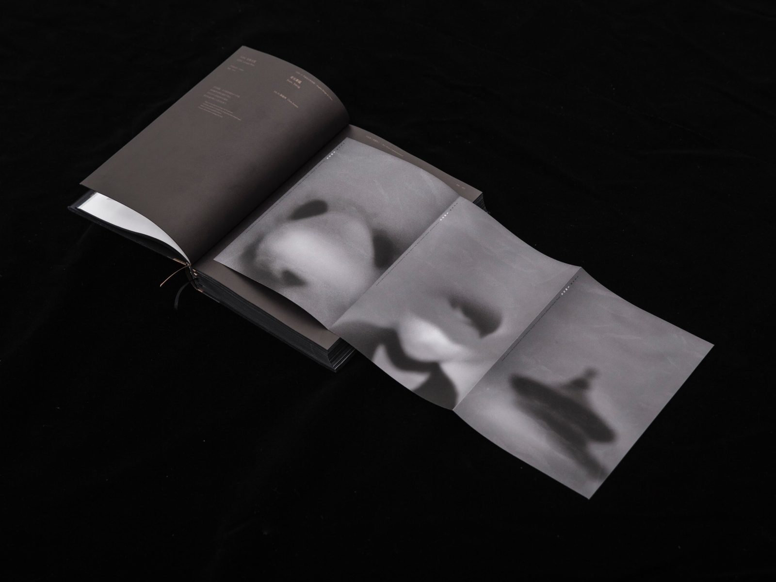 平面设计在中国2015