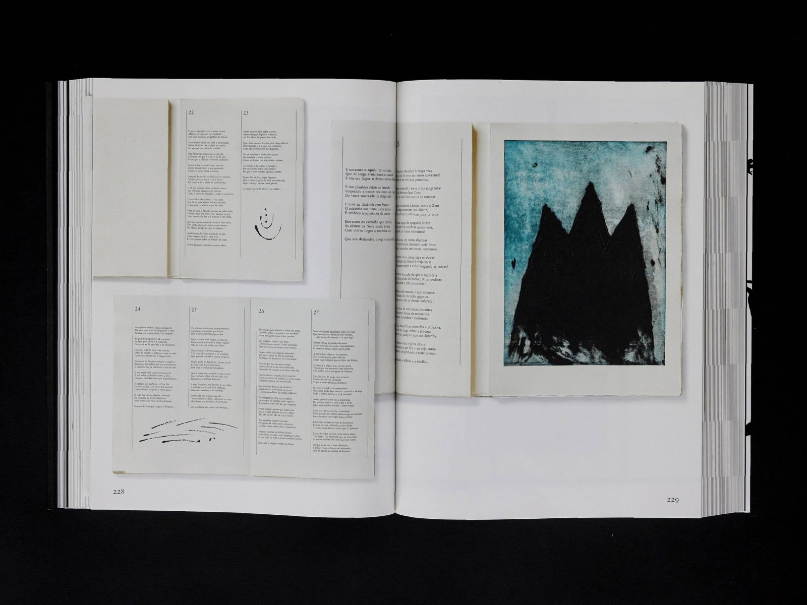 奇迹之境-艺术家手作书