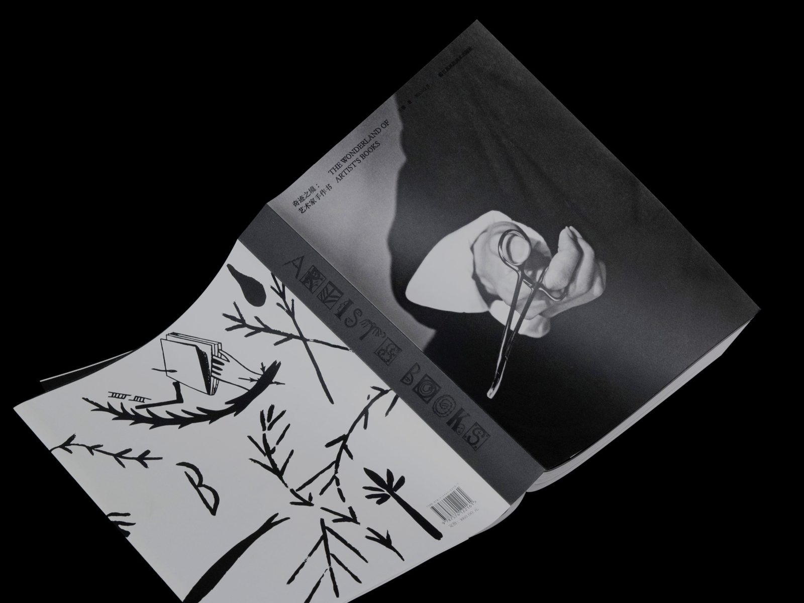 奇迹之境-艺术家手作书