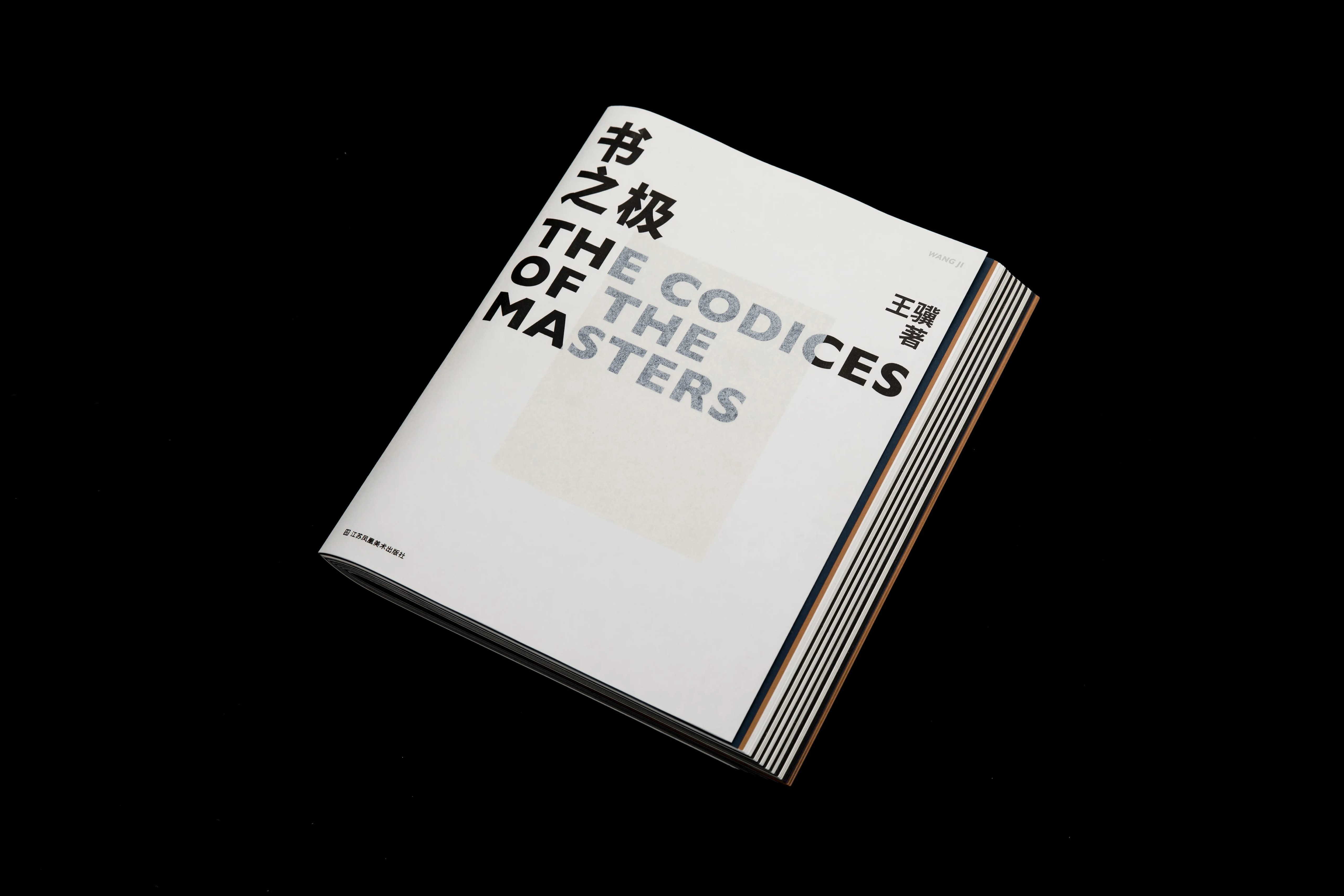 《书之极》  The codices of the masters